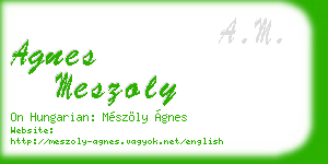 agnes meszoly business card